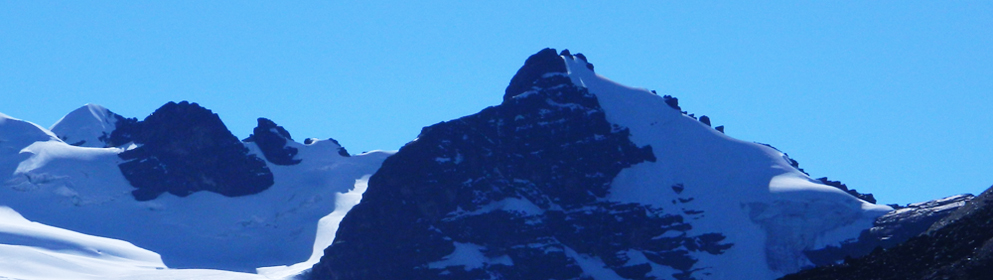 Panorámica