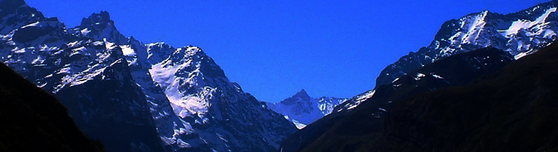 Pano