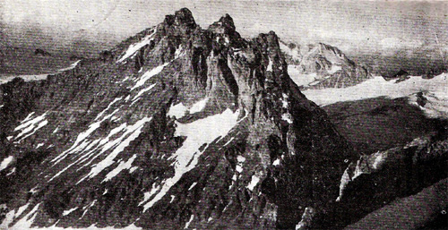 ASAVA