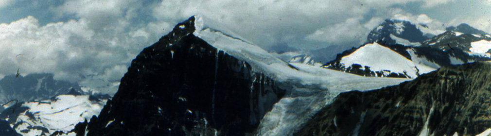 Pano