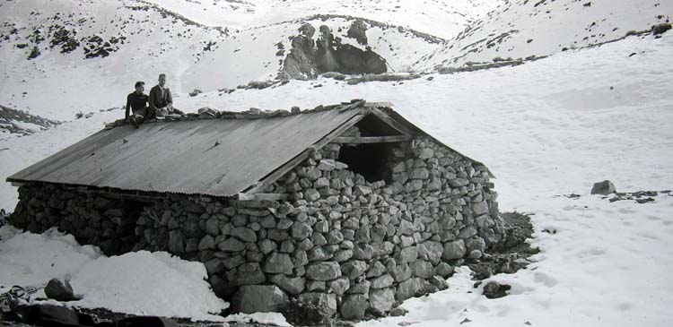 Refugio