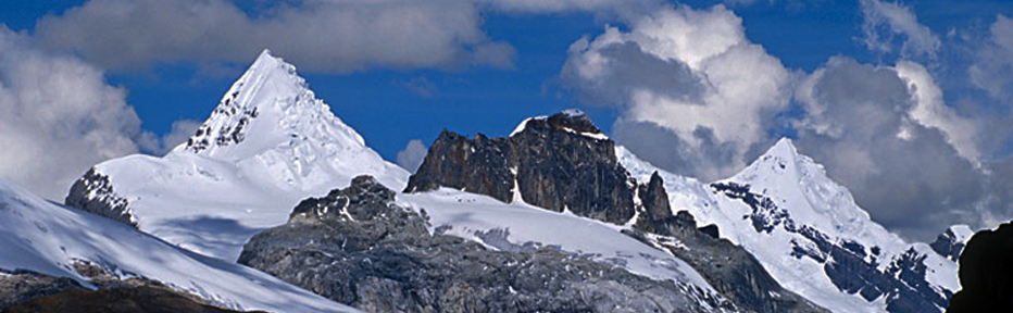 Pano