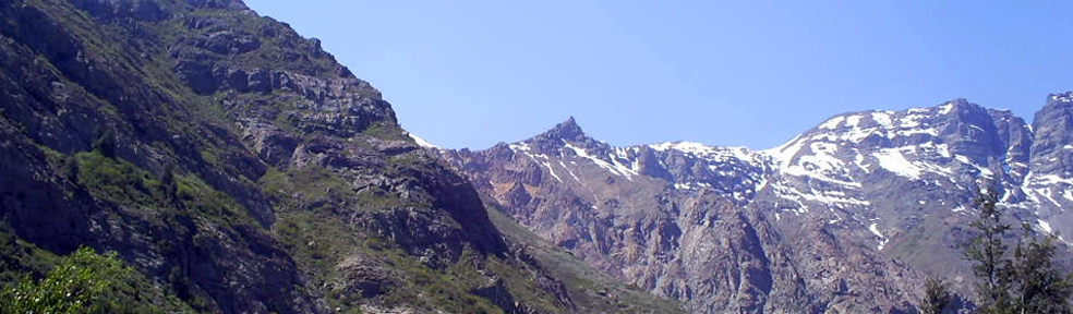 Pano