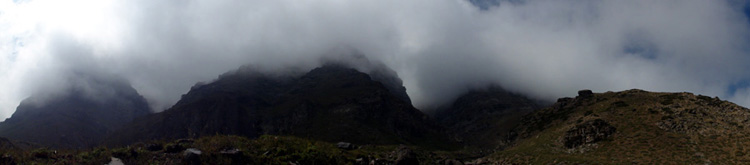 Pano