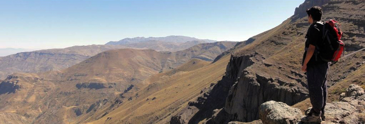 Pano