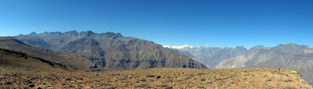 Pano