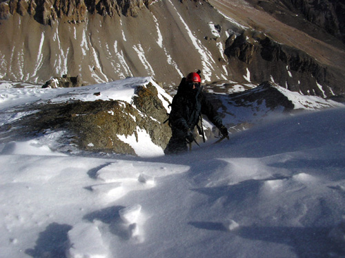 2007